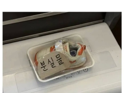 주인을 찾습니다