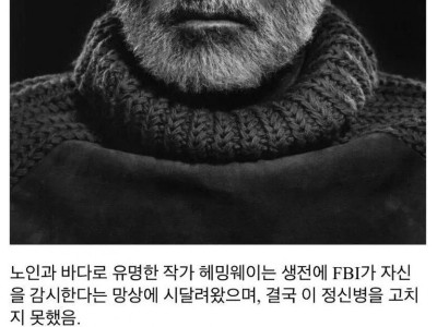 헤밍웨이가 생전에 정신병을 고치지 못한 이유