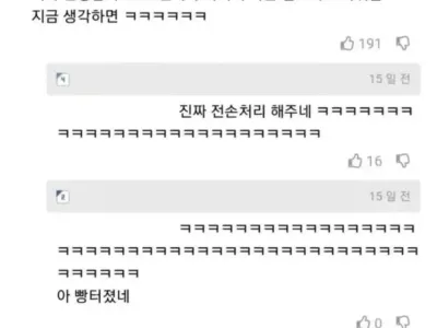 수의사의 전손처리