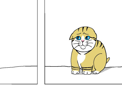 고양이가 개랑 서열정리 하는 만화