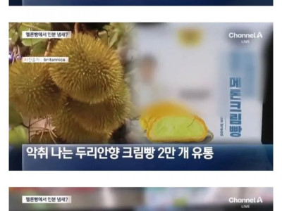 하수구 냄새 나던 메론빵의 진실.jpg