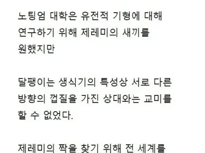 교미 한 번 하려고 전세계를 다 뒤진 결과