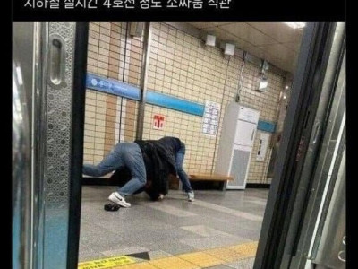 수도권에 살아야 하는 이유 중 하나.jpg