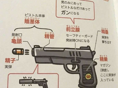 일본 성교육 근황