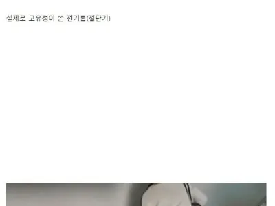 고유정이 사용했다는 전기톱