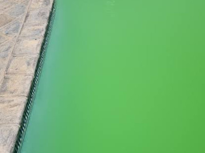 수영장 바닥이 꼭 파란색이어야 한다는 편견을 깨보자