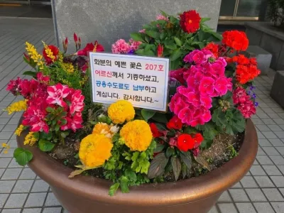 꽃 화분 기증 후 민원 차단까지 하신 어르신
