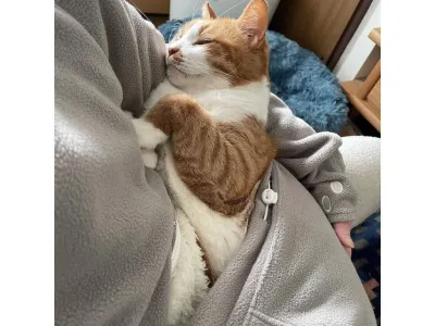 임요환이 고작 22살때 한 결단