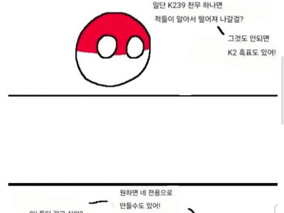 폴란드볼) 한국에 왔다가 지름신이 발동한 폴란드