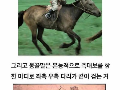 싱글벙글 몽골말 이야기