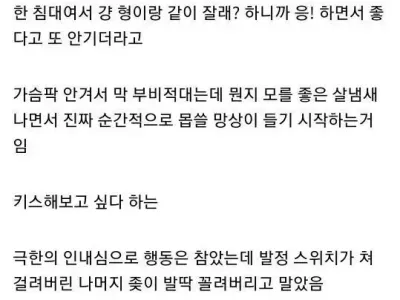 자기가 게이가 맞냐고 물어보는 디시인