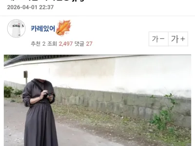 새로 나왔다는 착시 현상