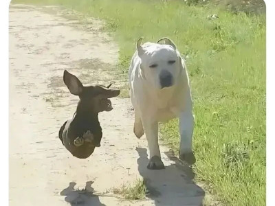 누가 봐도 외향형에게 기 빨리는 내항형