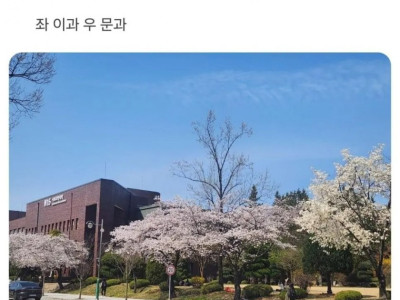 충격적인 대학교의 기울어진 캠퍼스