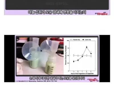 마늘이 ㅁ유에 미치는 영향