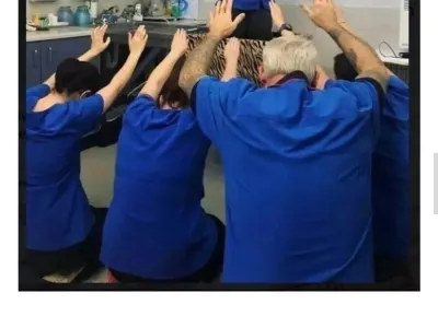 오오 고양이의 신이시여