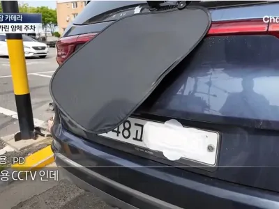 꽃놀이 와서 불법주차 한다고 번호판에 생리대 붙임