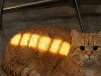 충전되었습니다