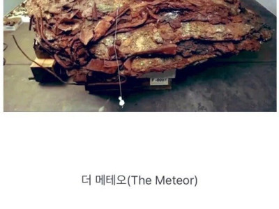 9.11테러 당시의 무서움을 보여주는 잔해