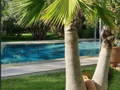 남자가 속옷 안 입고 다리 벌리고 있는 모습이 아닙니다.