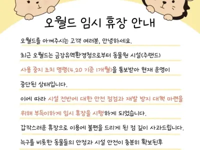 대전 오월드 근황