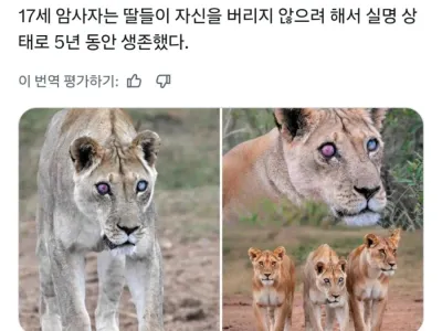 야생에서 5년 생존하기