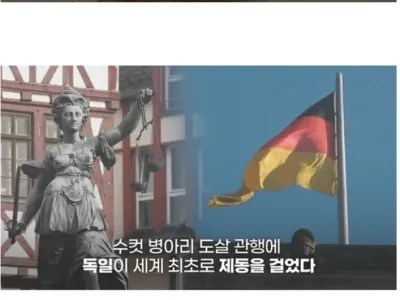 수컷병아리 도살관행이 안타까웠던 독일