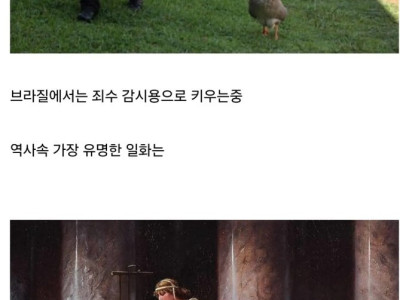 가성비 최고라는 생체 경비 시스템