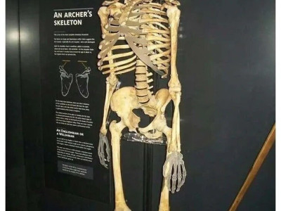 바닷속에서 500년만에 발견된 배.jpg