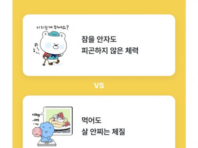 하나만 선택할 수 있다면