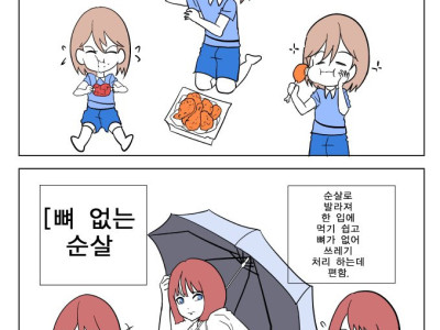 뼈 있는 닭 vs 순살 만화