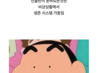 쌀이 인간에게 적합한 음식은 아닌거 같음