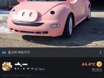 당근에 나온 돼지 폭스바겐