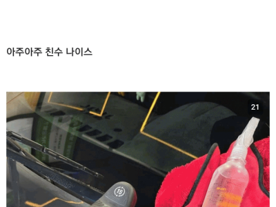 불알친구 차 세차해준 디시인