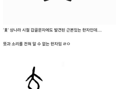 의미를 전혀 알 수 없는 한자