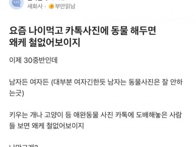 요즘 나이먹고 카톡 프사에 동물 해두면 왜케 철없어보이지