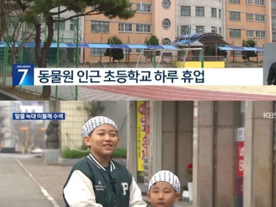 대전 늑대 탈출로 휴업을 겪은 시민 인터뷰