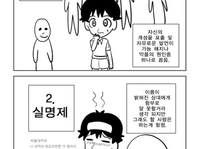 인터넷 익명제 vs 인터넷 실명제 만화