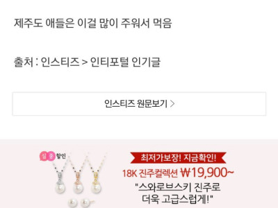 제주도 아이들이 먹는다는 열매에 달린 댓글