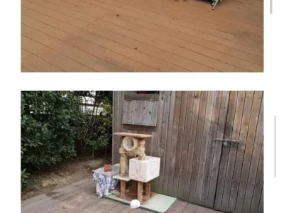 공사장에 고양이가 돌아다녀 빡친 아재들