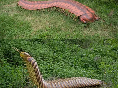 인류가 지금까지 발견한 가장 큰 육상 무척추동물