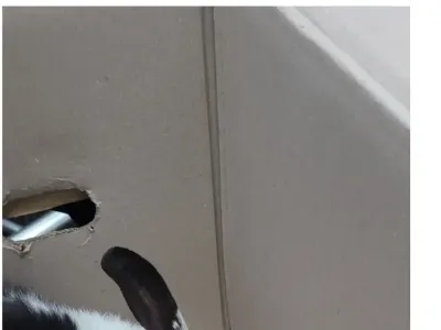 토끼를 주운 디씨인