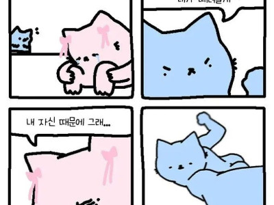 ??? : 규칙에 예외를 둘 순 없어요.jpg