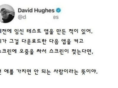임신 테스트기 어플 제조 후기