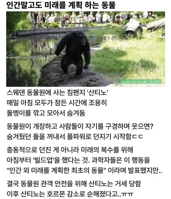 btcaa8e4f6e414d97c0bfc4d31a38a3799.webp