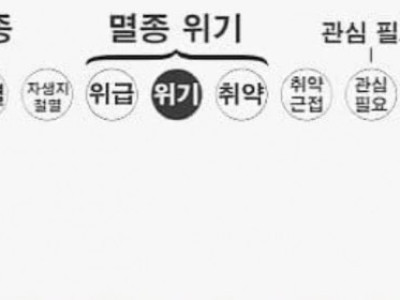 멸종위기라는 희귀종들