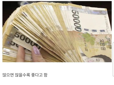 자취할때 있으면 삶의 질이 달라지는 아이템