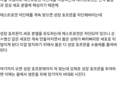 스테로이드 꽂으면 ㅈ되는 이유
