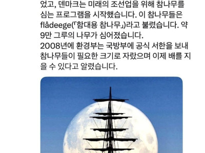 배 만드는 게 보통일이 아닌 이유
