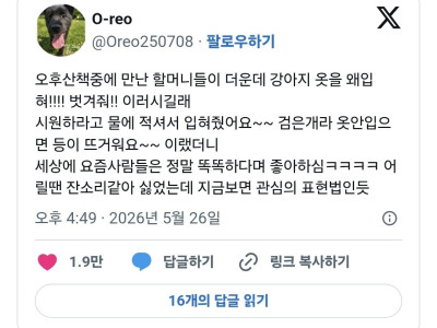 할머니들이 날 더운데 개옷 왜 입혔냐고 물어봄.jpg